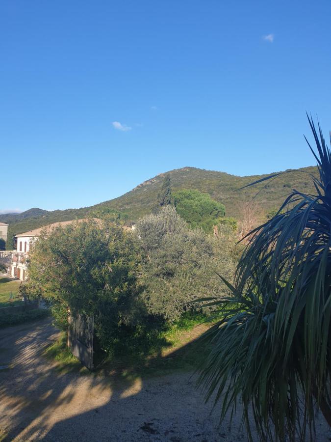 A Teppa Luri